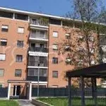 Rent 2 bedroom apartment of 55 m² in Rozzano