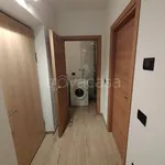 Rent 2 bedroom apartment of 50 m² in Dimaro Folgarida