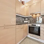 Rent 2 bedroom apartment in Capital City of Prague