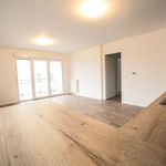 Rent 3 bedroom apartment of 62 m² in rouen