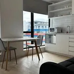 Rent 1 bedroom apartment in Wellington