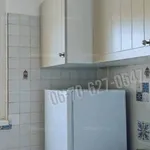 Rent 3 bedroom apartment of 68 m² in Budapest