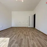 Pronajměte si 2 ložnic/e byt o rozloze 55 m² v Ostrava