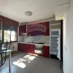 Rent 5 bedroom apartment of 85 m² in Ferrara