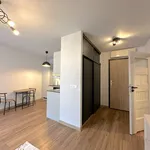 Rent 1 bedroom apartment of 27 m² in Wrocław