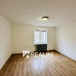 Rent 1 bedroom apartment in Ostrava