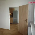 Pronajměte si 3 ložnic/e byt o rozloze 75 m² v Prague