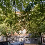 Rent 2 bedroom apartment of 81 m² in Berlin