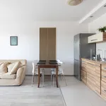 Rent 1 bedroom apartment of 40 m² in Wrocław