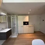 Rent 1 bedroom apartment in Leuven