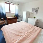 Rent 1 bedroom house in West Midlands