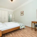 Rent 1 bedroom apartment of 43 m² in Prague