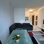 Rent 2 bedroom apartment of 80 m² in Milano