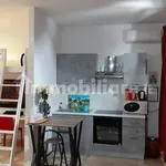 Rent 1 bedroom apartment of 40 m² in Turin