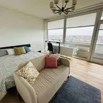 Rent a room of 86 m² in cologne