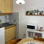 Rent 3 bedroom apartment of 60 m² in Rosignano Marittimo