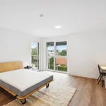 Rent 3 bedroom apartment of 21 m² in Graz