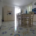 Rent 6 bedroom house of 80 m² in Perdifumo