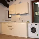 Rent 2 bedroom apartment of 50 m² in Verona