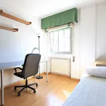 Rent a room of 120 m² in madrid