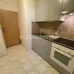 Rent 1 bedroom apartment of 31 m² in Capital City of Prague