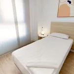 Alquilo 4 dormitorio apartamento de 72 m² en Alicante