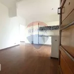 Rent 2 bedroom apartment of 40 m² in Turin