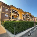 Rent 1 bedroom apartment of 42 m² in Leini