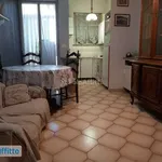 Rent 3 bedroom apartment of 80 m² in Turin