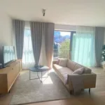 Rent 2 bedroom apartment of 91 m² in brussels