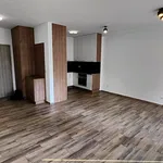 Rent 2 bedroom apartment of 47 m² in Opole