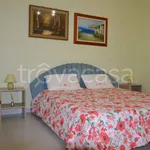 Rent 3 bedroom apartment of 55 m² in Manfredonia