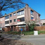 Rent 2 bedroom apartment in Brasschaat