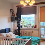 Pronajměte si 2 ložnic/e byt o rozloze 75 m² v Prague