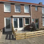 Rent 1 bedroom apartment of 31 m² in Westkapelle