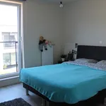 Rent 3 bedroom apartment in Zwevezele