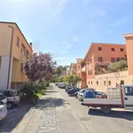 Affitto 2 camera appartamento di 55 m² in Urbino