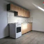 Rent 2 bedroom apartment in Plzeň-jih