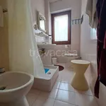 Rent 1 bedroom apartment of 45 m² in Casal Velino