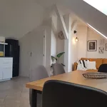 Rent 1 bedroom apartment of 55 m² in Prague