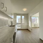 Rent 3 bedroom apartment of 74 m² in Capital City of Prague