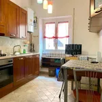 Rent 1 bedroom apartment of 70 m² in Roma