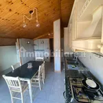 Rent 5 bedroom apartment of 170 m² in Perugia