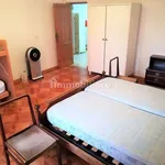 3-room flat good condition, Pulsano