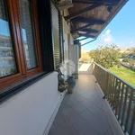 Rent 2 bedroom apartment of 43 m² in Anzio