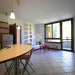 Rent 3 bedroom apartment of 80 m² in Brugherio