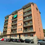 Rent 2 bedroom apartment of 55 m² in Turin