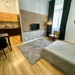 Rent 1 bedroom apartment of 33 m² in Łódź