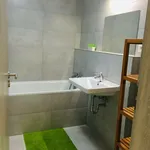 Pronajměte si 1 ložnic/e byt o rozloze 35 m² v Prague