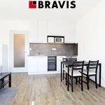 Rent 1 bedroom apartment of 28 m² in Brno